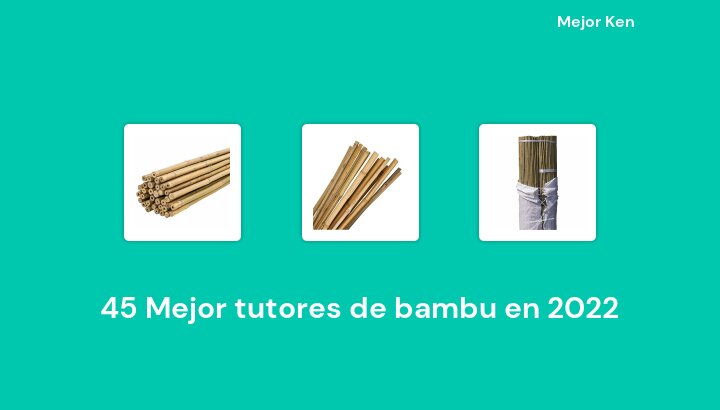 45 Mejor tutores de bambu en 2022 [Basado en 890 Reseñas]