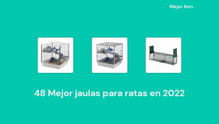 48 Mejor jaulas para ratas en 2022 [Basado en 241 Reseñas]