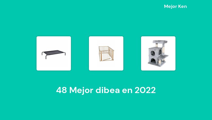 48 Mejor dibea en 2022 [Basado en 528 Reseñas]