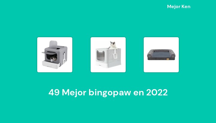 49 Mejor bingopaw en 2022 [Basado en 276 Reseñas]