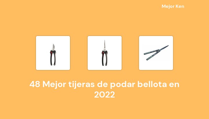 48 Mejor tijeras de podar bellota en 2022 [Basado en 261 Reseñas]
