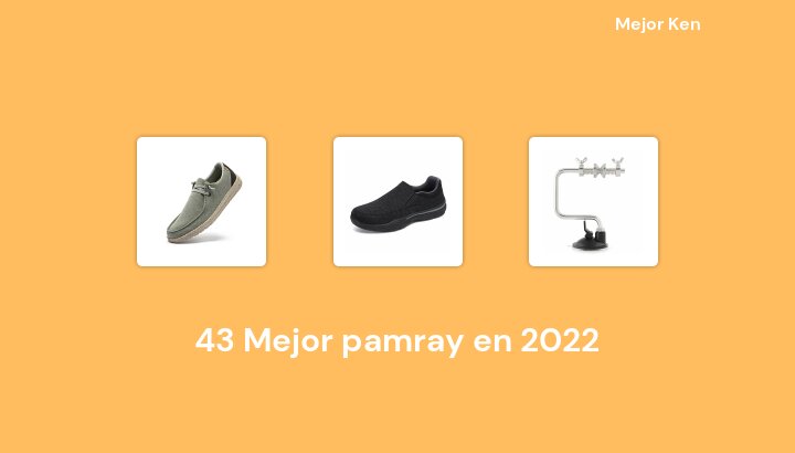43 Mejor pamray en 2022 [Basado en 501 Reseñas]