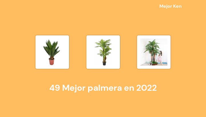 49 Mejor palmera en 2022 [Basado en 905 Reseñas]