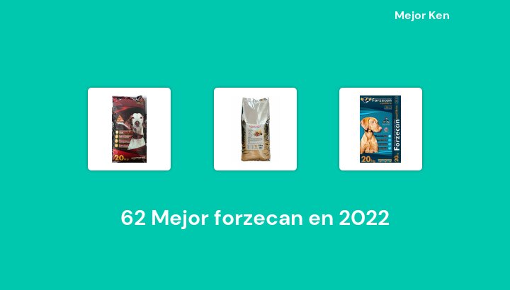 62 Mejor forzecan en 2022 [Basado en 858 Reseñas]