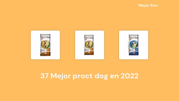37 Mejor proct dog en 2022 [Basado en 624 Reseñas]