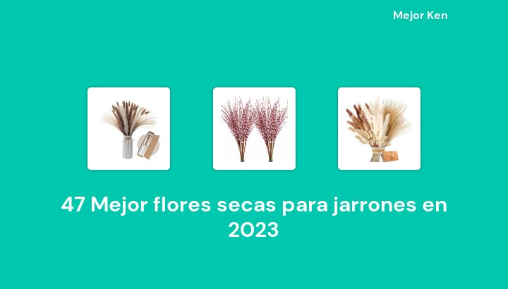47 Mejor flores secas para jarrones en 2023 [Basado en 61 Reseñas]
