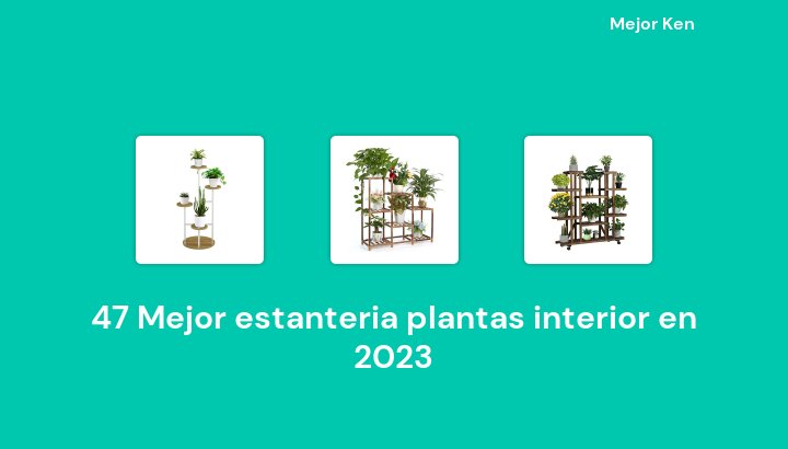 47 Mejor estanteria plantas interior en 2023 [Basado en 206 Reseñas]