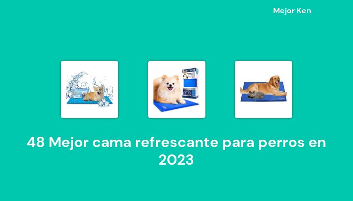 48 Mejor cama refrescante para perros en 2023 [Basado en 269 Reseñas]