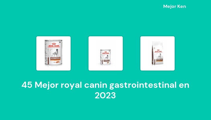 45 Mejor royal canin gastrointestinal en 2023 [Basado en 672 Reseñas]