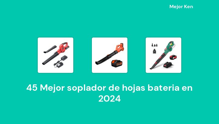 45 Mejor soplador de hojas bateria en 2024 [Basado en 28 Reseñas]